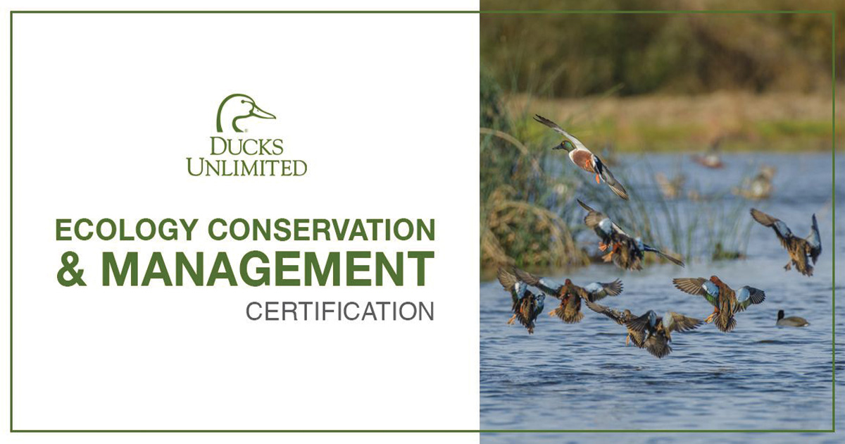 Ducks Unlimited Ecology Conservation Management Certification Ducks